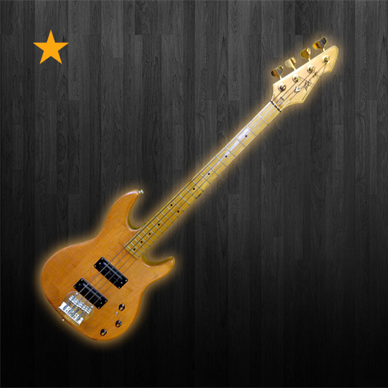 Peavey Fury/Foundation Bass