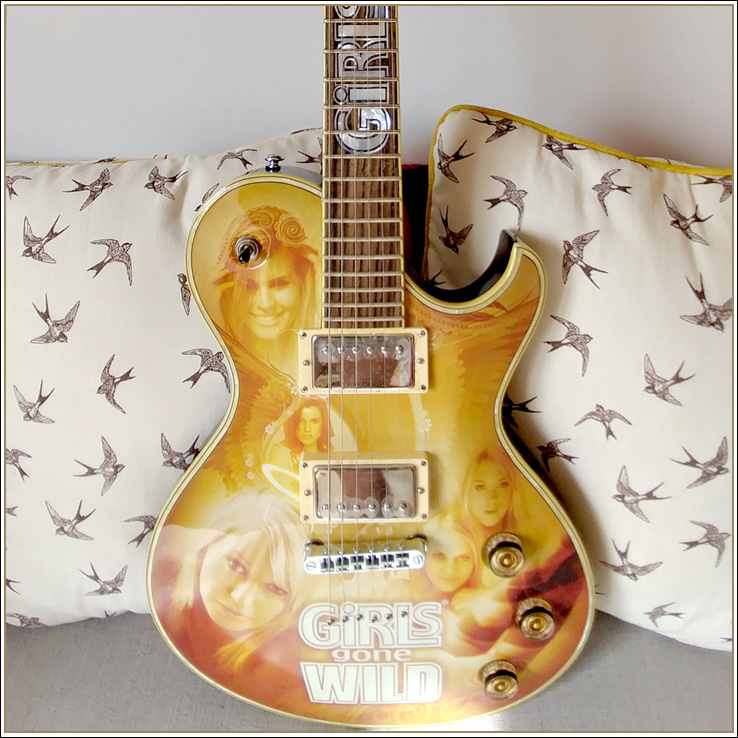 2009 Schecter Solo GGW ll