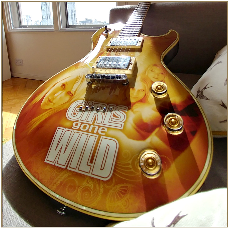 2009 Schecter Solo GGW ll