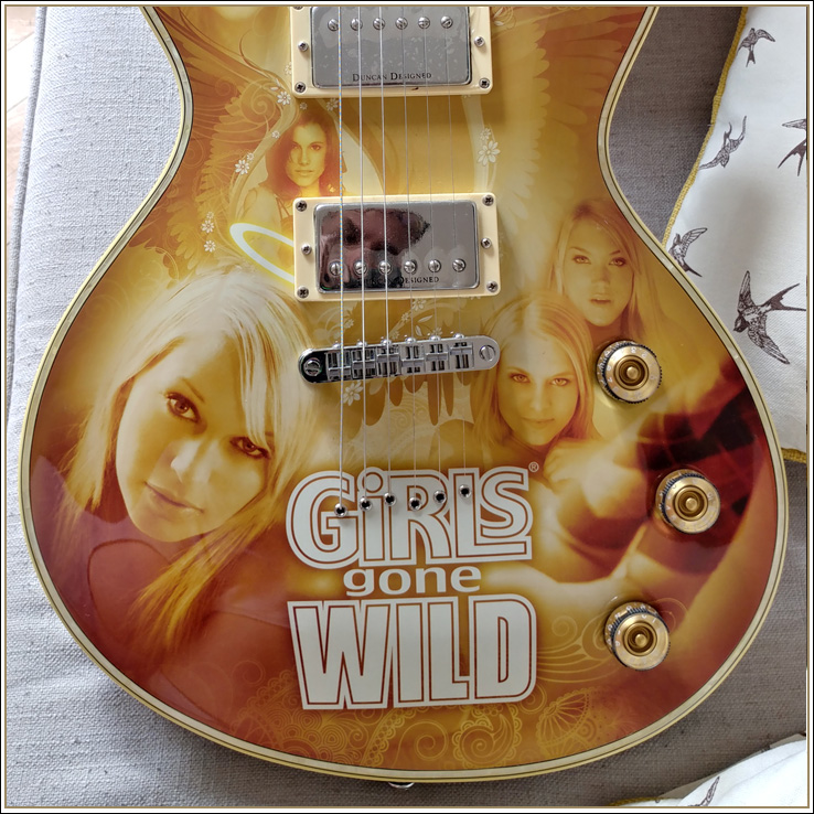 2009 Schecter Solo GGW ll