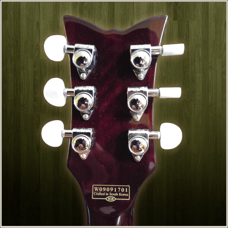 2009 Schecter Solo GGW ll